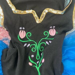 Frozen Anna inspired Ballet/Dance Tutu